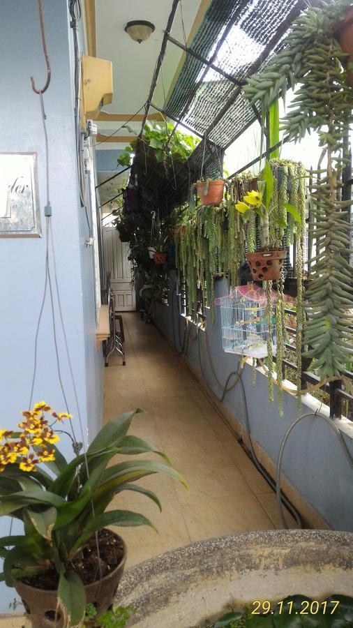 Homstay An Nhien ดาลัด ภายนอก รูปภาพ